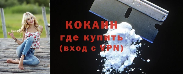 сатива Богородицк