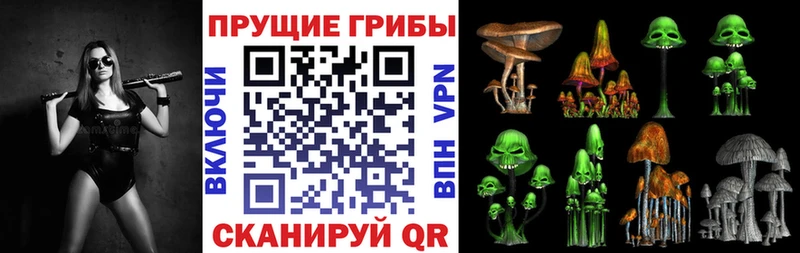 Псилоцибиновые грибы Magic Shrooms  blacksprut рабочий сайт  Пестово 